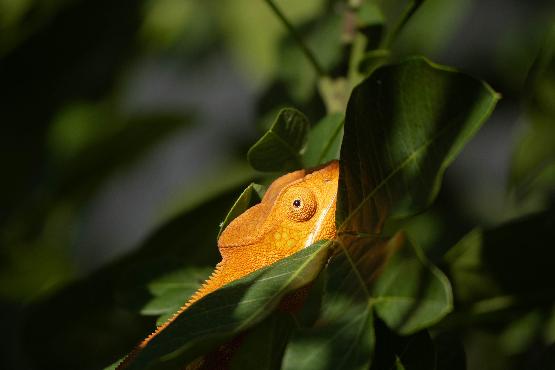 24.两两交换链表中的节点